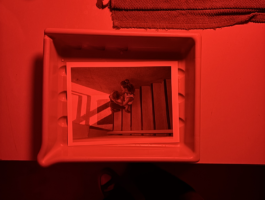 Analoge Fotografie in einer Plastikschale in einem Fotolabor 