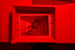 Analoges Foto wird in Fotoschale in der Dunkelkammer des Studio Lüüd entwickelt 